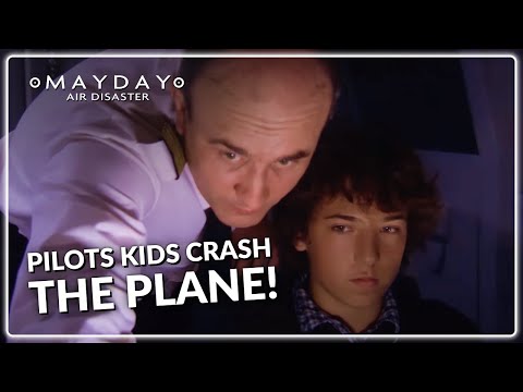Tragedy of Aeroflot Flight 593 | Mayday Air Disaster