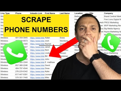 How To SCRAPE High Quality Phone Numbers (FREE & Paid)