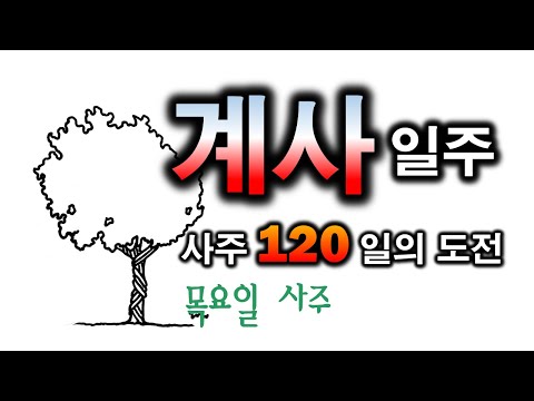 계사일주 한방정리(116일차)