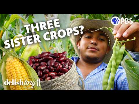 What Are The Three Sister Crops? | Delishtory