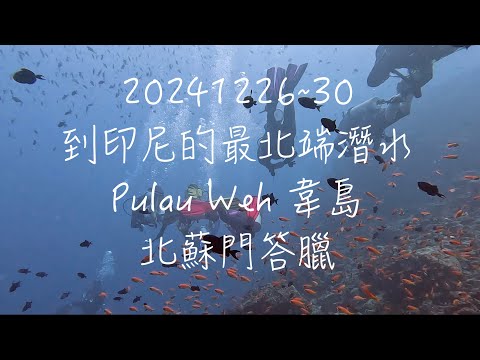 2024126~30 到印尼最北端潛水Pulau Weh韋島，北蘇門答臘