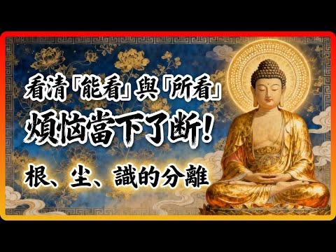《楞嚴經》的內觀秘法：看清「能看」與「所看」，煩惱當下了斷！#佛教故事 #佛法 #修行 #開悟 #楞嚴經 #內觀