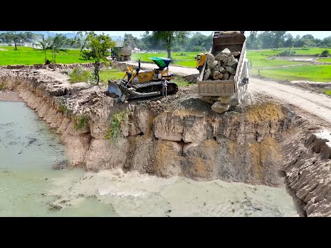 Best Large Scale Land Filling Up Deeply Huge Pond Processing Bulldozer and Dump Truck Moving Soil