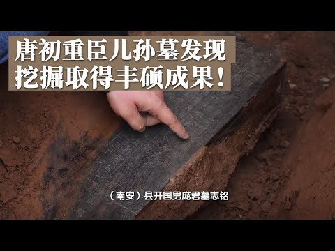 唐初重臣庞卿恽儿子、孙子、曾孙墓均已发现！挖掘数月成果丰硕 然而他自己的墓葬却还未确定！《探索·发现》唐代庞氏贵族墓葬发掘纪实（3）丨 中华国宝