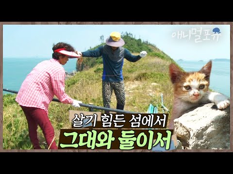섬 주민은 4명이 전부. 살기 힘든 죽굴도에 새 식구가 들어왔다! | 죽굴도, 그대와 둘이서 | KBS 인간극장 2017 방송