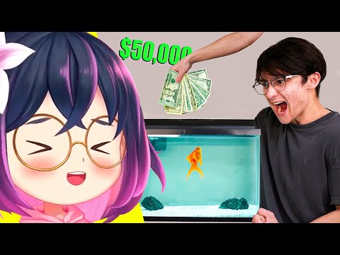 I react to michael's NEW video "I Gave My Goldfish $50,000 to Trade Stocks"