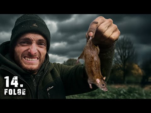 Eine MAUS zerstört meine PLÄNE | Tag 14/100 autark