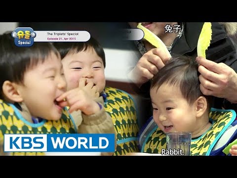 The Return of Superman - The Triplets Special Ep.21 [ENG/CHN/2017.09.29]