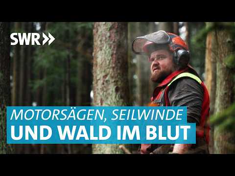 Knochenjob mit Motorsäge, Seilwinde und Axt: Zwei Brüder und der Wald