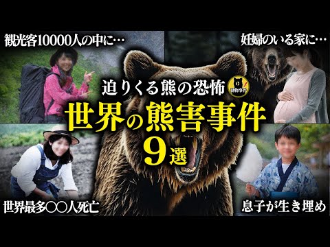 世界の熊による獣害事件9選【総集編】
