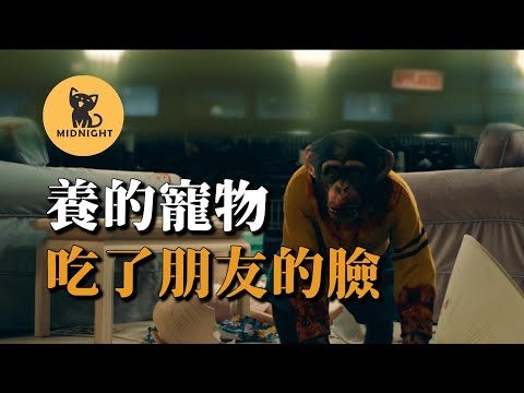 ”它把她吃了！“，養的黑猩猩突然暴走，恐怖的寵物襲擊事件。