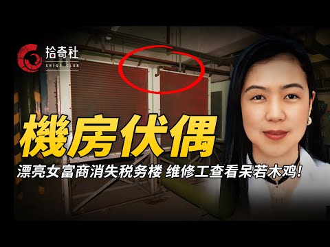 珠宝大王千金离奇失踪，税务楼突现奇怪伏偶，维修工查看瘫倒在地！