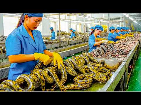 99 Amazing Machines and Tools Operating At An INSANE LEVEL