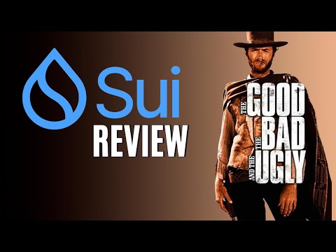 The Good, Bad, and Ugly of Sui Explained! Honest Crypto Review
