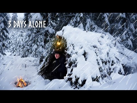 Snowed In! 3 Day Winter Survival in a Primitive Shelter