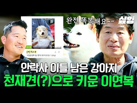 [#고독한훈련사] 안락사 이틀 전 구조해온 유기견이 알고보니 천재견?🐶 생일 같은 매일을 보내게 해준 생일이와의 운명 같은 만남🎂
