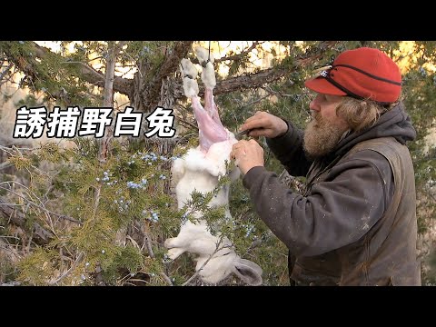 北美荒野山地硬漢：驅趕狼群誘捕野兔，領頭犬過世撿鹿角，訓練犬隊守護牧場！紀錄片