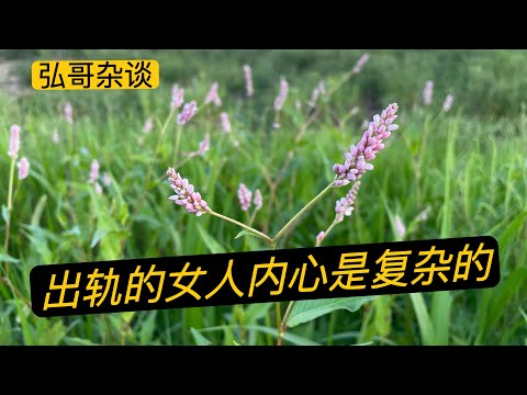 出轨的女人内心是复杂的，《我和美国老公十年婚姻，没有激情》后续，我们尝试修复婚姻。