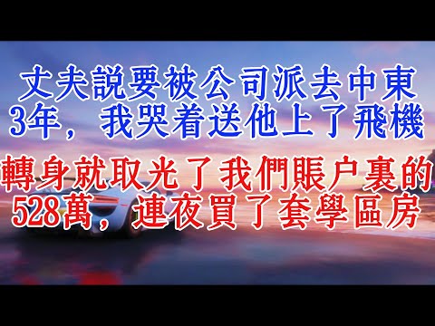 丈夫說要被公司派去中東3年，我哭著送他上了飛機，轉身就取光了我們賬戶裡的528萬，連夜買了套學區房#故事分享 #小說推文 #夫妻