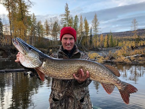 Таймыр. Плато Путорана. Подводная охота и рыбалка.