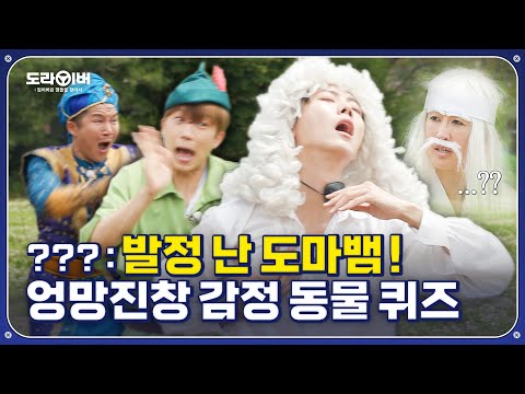 국내 최초로 시도해 본 '감정 동물 퀴즈' | 도라이버 시즌2 Ep.07