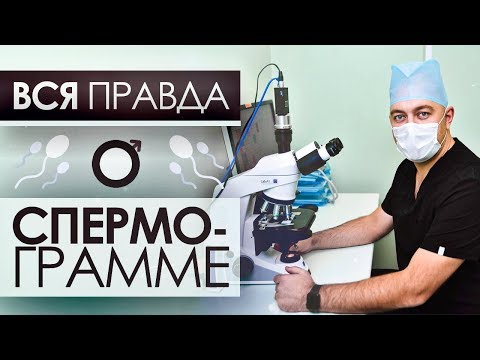 Как расшифровать анализ спермограммы? Подробности от врача андролога