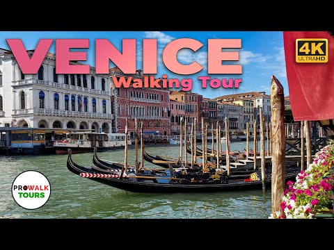 Venice, Italy 4K-UHD Walking Tour โ 5.7 Million Views & Counting! ๐ฎ๐น - Prowalk Tours