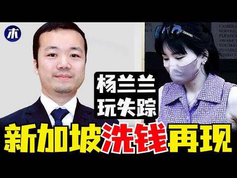 太子集团陈志背景，用新加坡洗钱再现，陈志太子集团新加坡房产，太子集团与中共国安的联系，杨兰兰玩失踪（小木谈天第617期20251021）