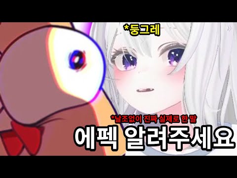 오버워치 합방중에 먼저 에펙을 하자고 한 여자가 있습니다...