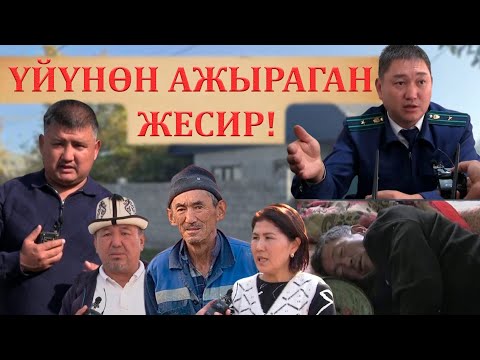 КАЙНАГАСЫНА, КАЙНЕЖЕСИНЕ ҮЙҮН ЖЕРИН АЛДАТЫП ЖИБЕРГЕН ЖЕСИР КЕЛИН!