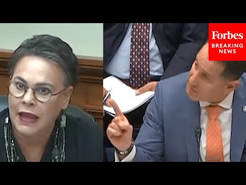'Excuse Me?!': Harriet Hageman Snaps Back At Witness During Testy Exchange