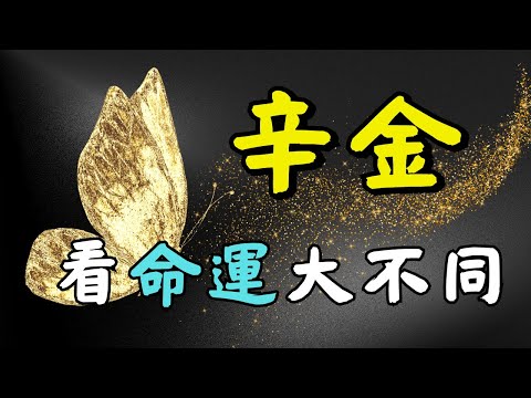 辛金命的隱藏天賦 | 四季不同，決定你是“珠寶”還是“刀劍”！王道長詳解辛金人的不同命局以及道法秘傳長生不老和七十二變