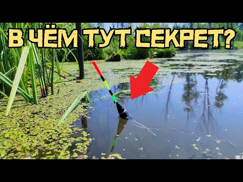 I CAME UP WITH A TRICK and CAUGHT A CRUCIAN CARP! Float fishing in a POND WAS AMAZING! Fishing in...
