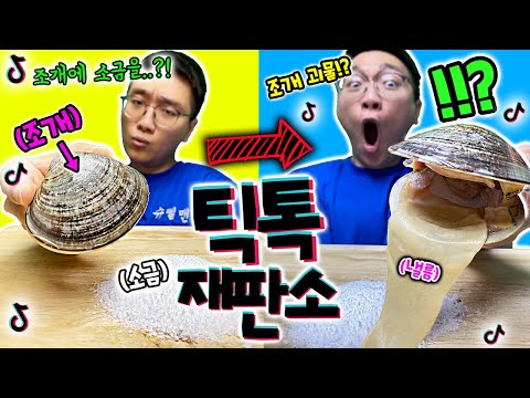 조개에 소금을 뿌리면 조개괴물로 변한다고?! 말도 안돼!! [틱톡재판소 39탄]