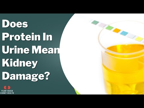 Does protein in urine mean kidney damage? Are bubbles in urine normal?
