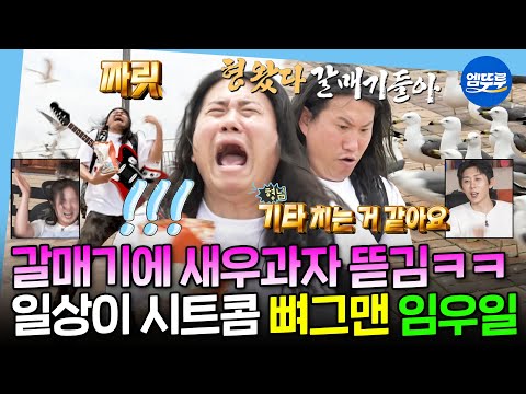 [나혼자산다] 구성환 비둘기에 이은 임우일 VS 갈매기ㅋㅋㅋ 갈매기들에게 삥 뜯기는 웃수저 임우일의 일상🤣ㅣ#임우일 MBC250711방송