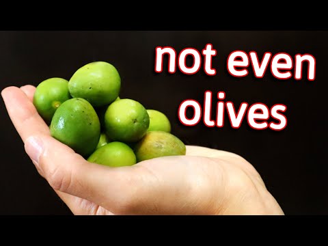 Chinese Olives - The Surprising Truth Behind This Much Misunderstood Fruit.