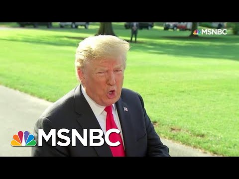 Donald Trump, A Very Stable Genius, Tries To Read The Constitution | All In | MSNBC