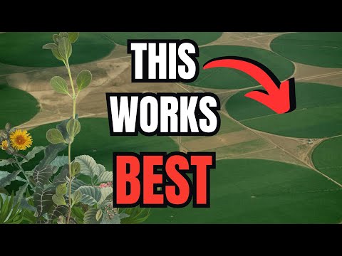 Our Classic D&D Farms are Wrong.