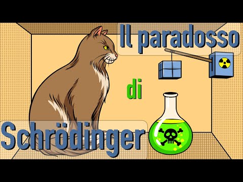 Le soluzioni al Paradosso di Schrödinger - CURIUSS