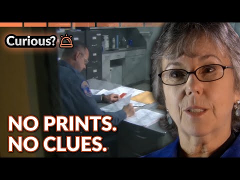 Psychic Vision Leads to Killer’s Capture | Psychic (Investigators) CSI