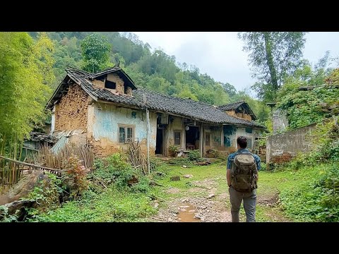 The Man Revived a Dilapidated House in the Rainforest into a Dream Home for His Wife and Child