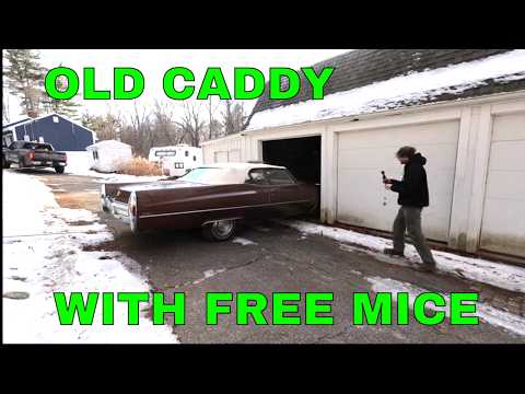 Estate Sale Soft-Top Cadillac Rescue,