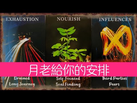 關于你和他，月老的詳細安排是什麽？  |曖昧|愛情|戀愛|桃花|塔羅占卜|