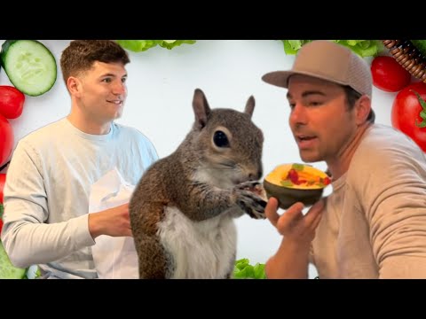 Mark Rober and Nick DiGiovanni made dinner for squirrels that water ski 🥰🐿️