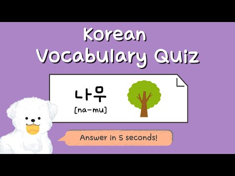 Korean Vocabulary Quiz for Beginners