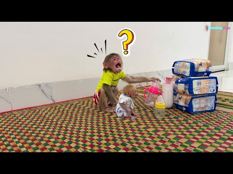 So cute! Monkey Kyo & BuNa wait for Dad to come home… Then the surprise appears! 🎁