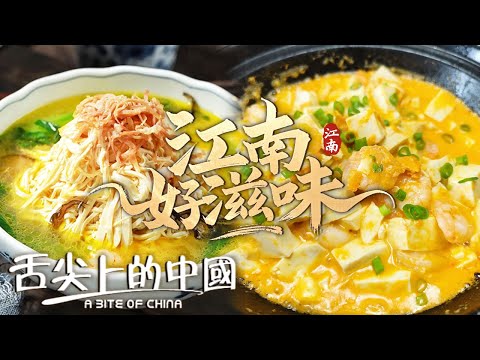 古今流傳的江南好味道 蟹粉豆腐 松鼠鱖魚 燙乾絲 就連皇帝都愛吃！丨舌尖上的中國官方頻道 A Bite of China