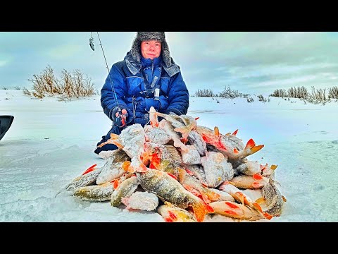 ТОННЫ РЫБЫ ВМЕСТО ДНА, В ГЛУХОЗИМЬЕ!! СКОЛЬКО ЖЕ ИХ ТАМ!!! ЗИМНЯЯ РЫБАЛКА А ЗАПОЛЯРЬЕ!!