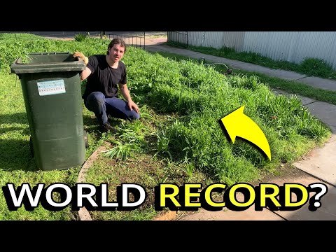 He Called For HELP But It NEVER Came - I TRANSFORMED His Yard For FREE